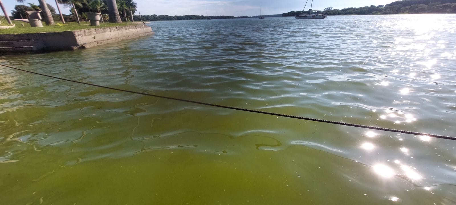 foto Not&iacute;cia Olímpia